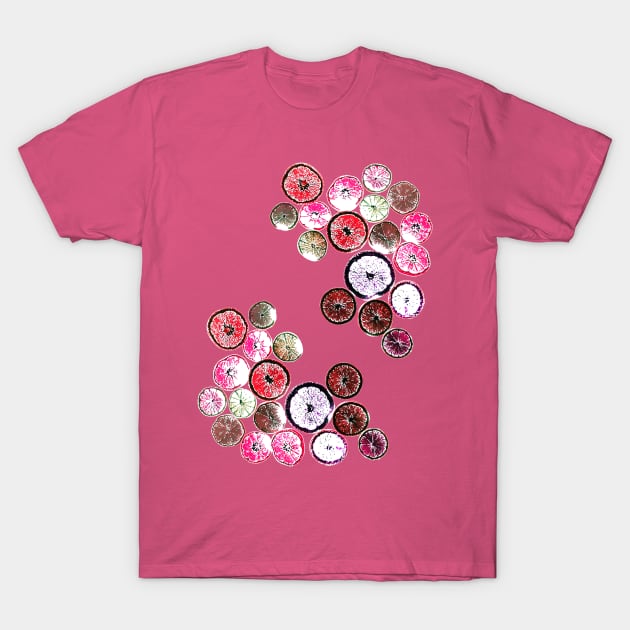 Pink Fruit Slices T-Shirt by JimT